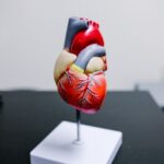 Cardiologist
